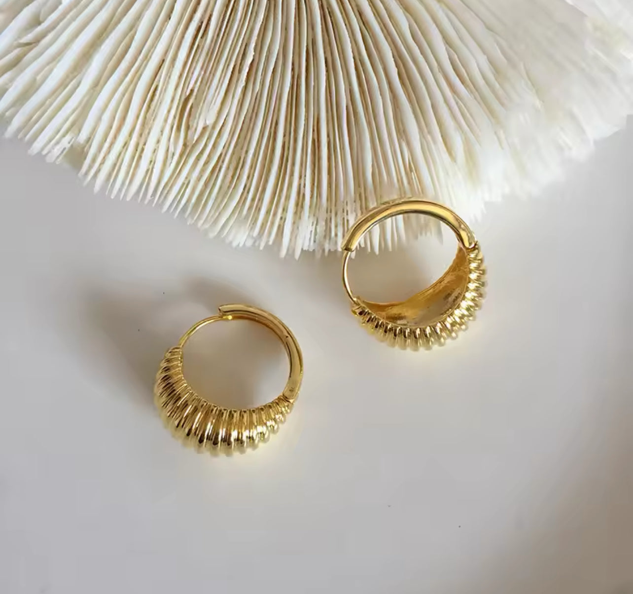Golden Ribbed Hoops